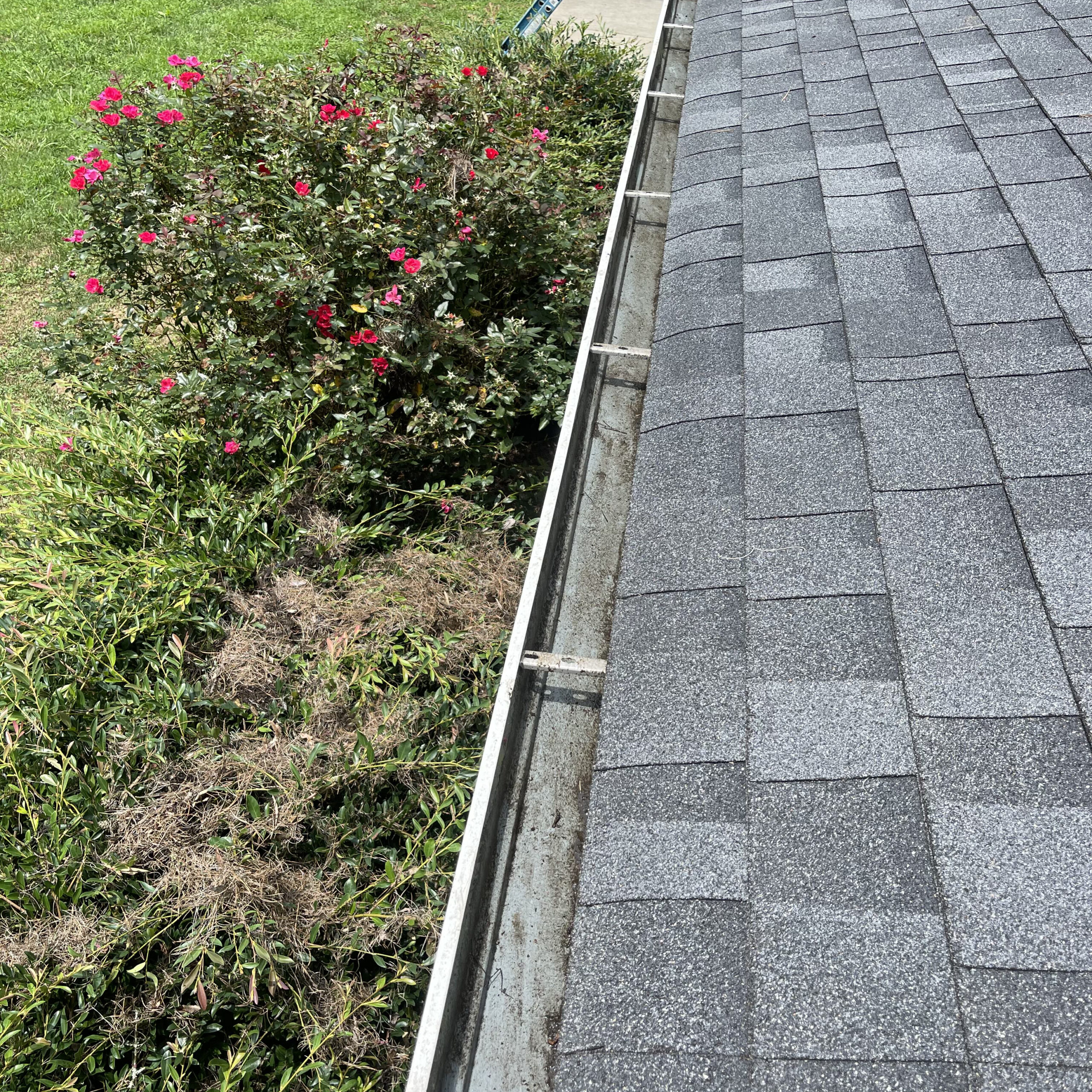 Expert Gutter Solutions in West Virginia